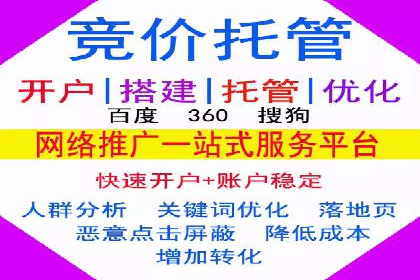XX领域竞价广告的投放策略及效果展示
